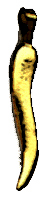 Cornuto