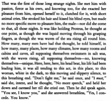 possession-metaphor